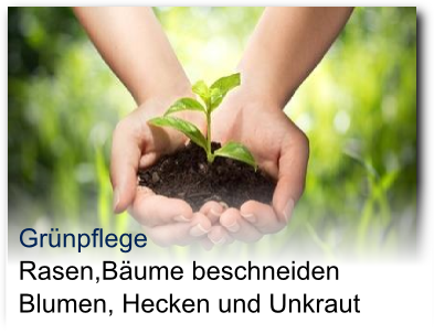 2Grünpflege mit FSG Hamm