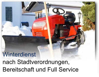 2Winterdienst mit FSG Hamm